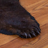 Black Bear Rug Taxidermy Mount LB5005