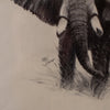 Framed Signed Peter Darro Charcoal Elephant Sketch LB5023
