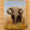 eric forlee painting elephant study for sale