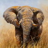 Signed Original Eric Forlee Painting on Canvas Elephant Study LB5026