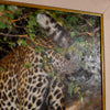 Signed Original Eric Forlee Painting on Canvas Leopard Study LB5031