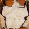 Nice Mouflon Sheep Back Skin Hide for Sale BK7023