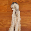 Nice Mouflon Sheep Back Skin Hide for Sale BK7023