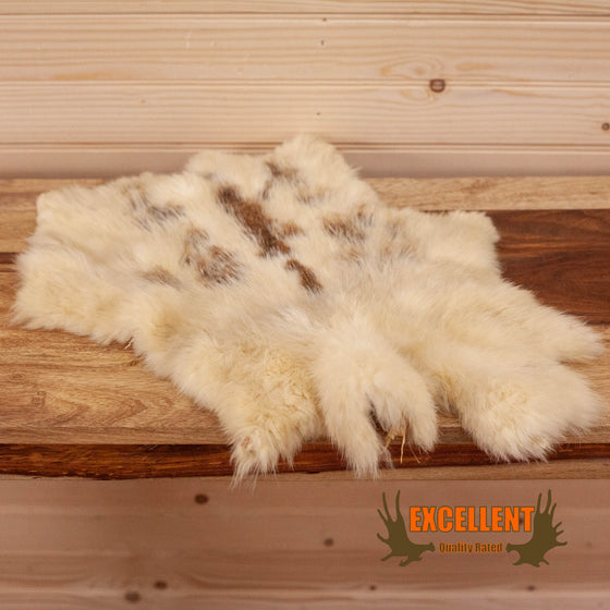 snowshoe hare pelt for sale