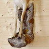 Gazelle half body Taxidermy for Sale - Hillier Goitered