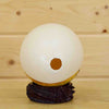 Painted African Ostrich Egg with Stand for Sale