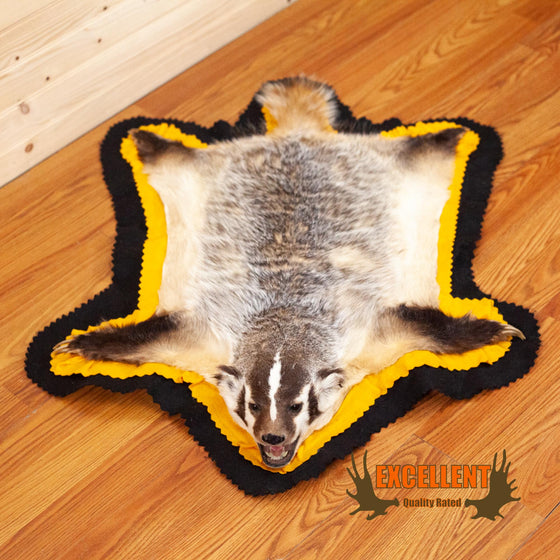 badger taxidermy rug for sale