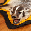 Excellent Badger Rug Taxidermy Mount GB4101