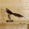 Red Golden Pheasant Taxidermy for Sale