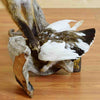 Game Bird Mounts for Sale