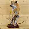 Fox Pedestal Mount for Sale