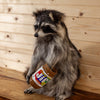 Premier Full Body Raccoon with Peanut Butter Jar Taxidermy Mount SW10067