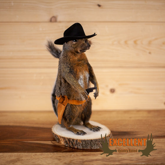 red fox squirrel taxidermy mount cowboy  novelty for sale