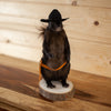 Cowboy Squirrel Taxidermy Mount SW11306