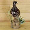 Grouse Mounts for Sale