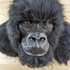 Excellent REPRODUCTION Gorilla Shoulder Mount GB4151