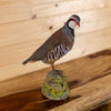 Excellent Chukar Perched Taxidermy Mount DP4018