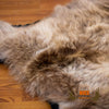 grizzly bear rug for sale