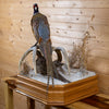 Premier Rooster and Hen Pheasants Taxidermy Mount GB4197