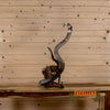 mongoose fighting cobra taxidermy mount for sale