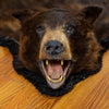 Black Bear Rug Taxidermy Mount LB5005