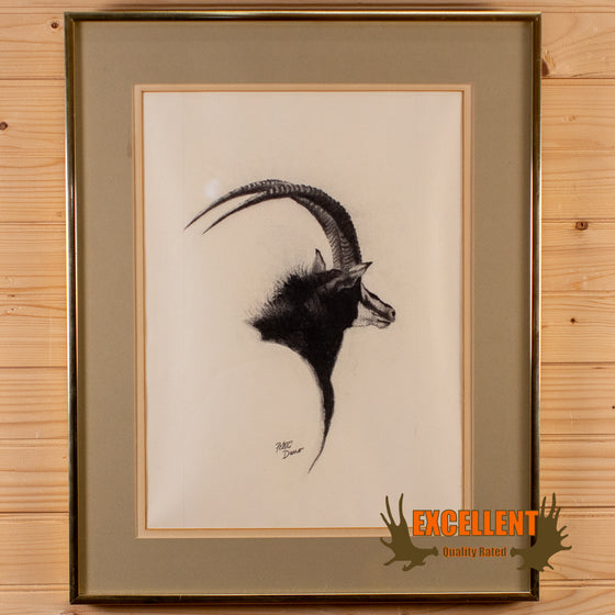 original signed peter darro sable antelope sketch for sale