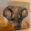 Signed Original Eric Forlee Painting on Canvas Elephant Face Study LB5026