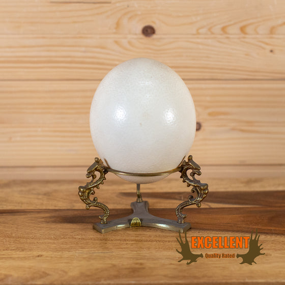 Ostrich Egg Shell LB5068