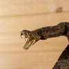 Excellent Diamondback Rattlesnake Full Body Taxidermy Mount SW11333