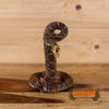 diamondback rattlesnake taxidermy mount for sale