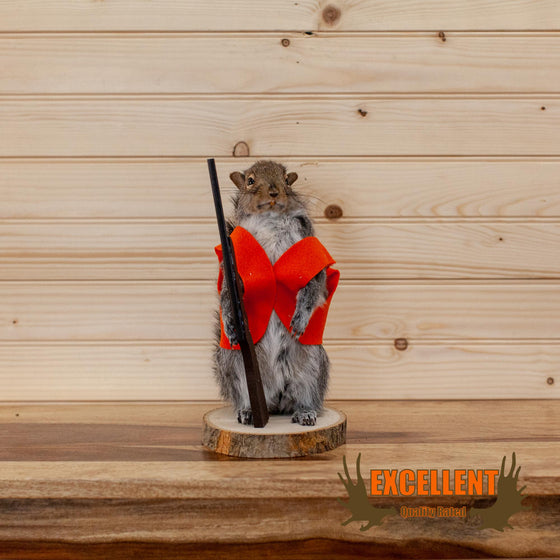 hunter hunting gray squirrel taxidermy mount for sale