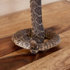Diamondback Rattlesnake Full Body Taxidermy Mount SW10263