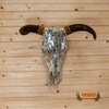 rustic chic steer skull mount with horns for sale