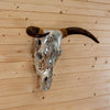 Decorated Horned Steer Skull Wall Mount SW10319