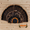 turkey tail fan wall mount for sale