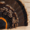 Excellent Wild Tom Turkey Tail Fan Mount GB4087