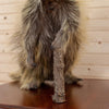 Full Body Porcupine Taxidermy Mount - SW6672
