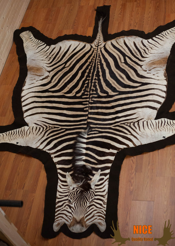 African Burchell's zebra skin rug for sale