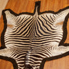 Nice African Burchell's Zebra Skin Rug BK7015