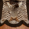 Nice African Burchell's Zebra Skin Rug BK7015