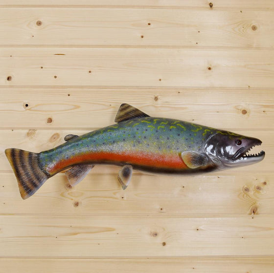 Trout Reproduction for Sale
