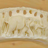 Carved Hippo Tusks for Sale