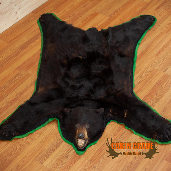 black bear rug taxidermy for sale