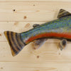 Fish Taxidermy for Sale