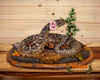 western diamondback rattlesnake full body lifesize taxidermy mount for sale