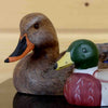 Handcrafted Decoy by Jennings Decoy Co.- SW5081