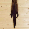 Fisher Fur for Sale