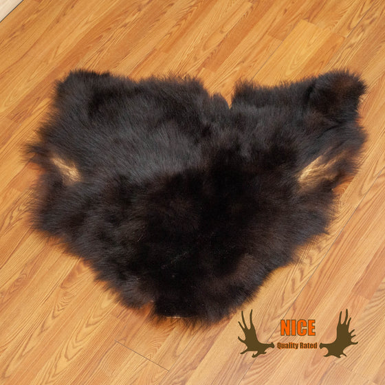 black bear hide for sale