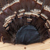Excellent Wild Tom Turkey Tail Fan Mount GB4077