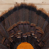 Excellent Wild Tom Turkey Tail Fan Mount GB4078